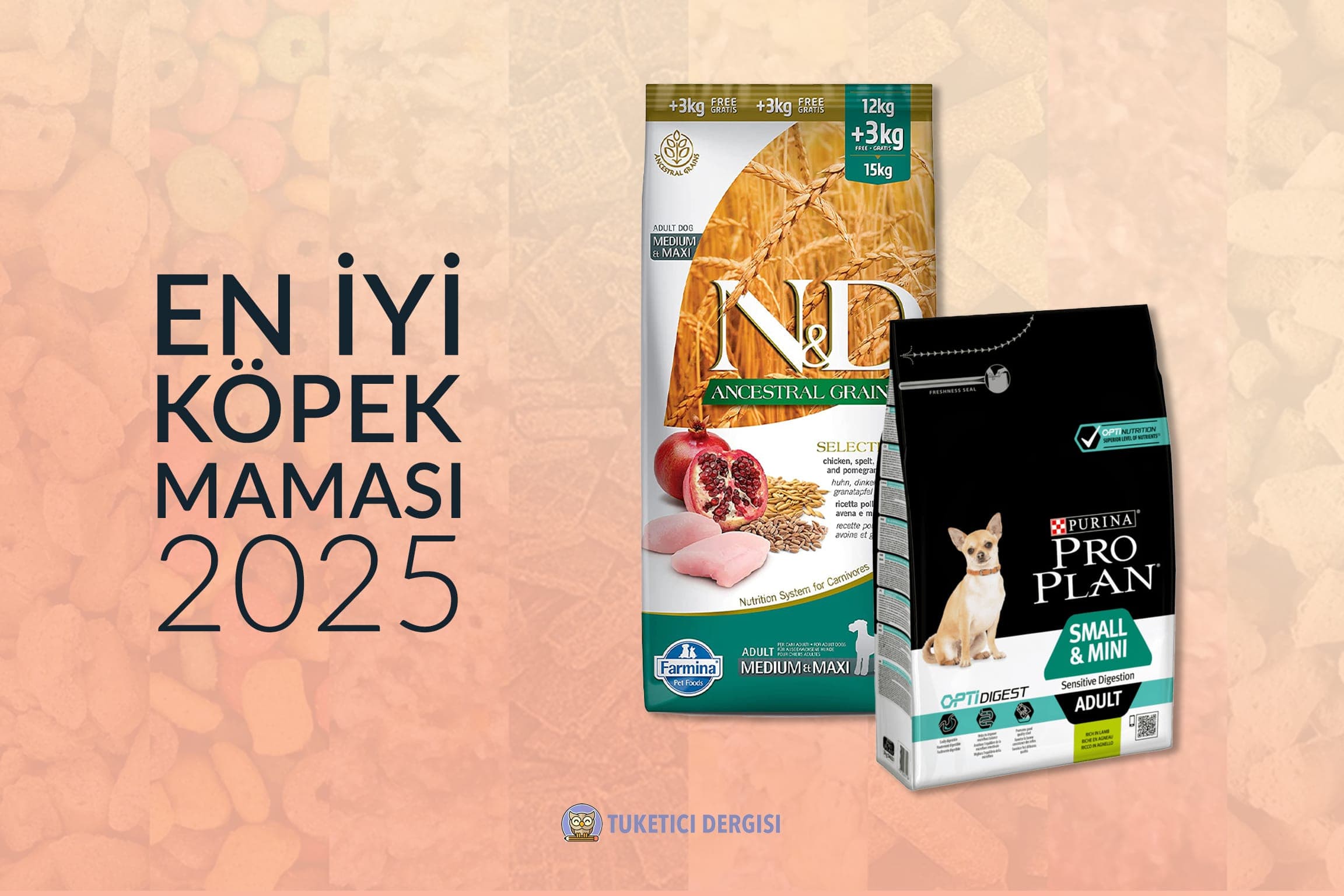 Köpek Maması Tavsiyeleri