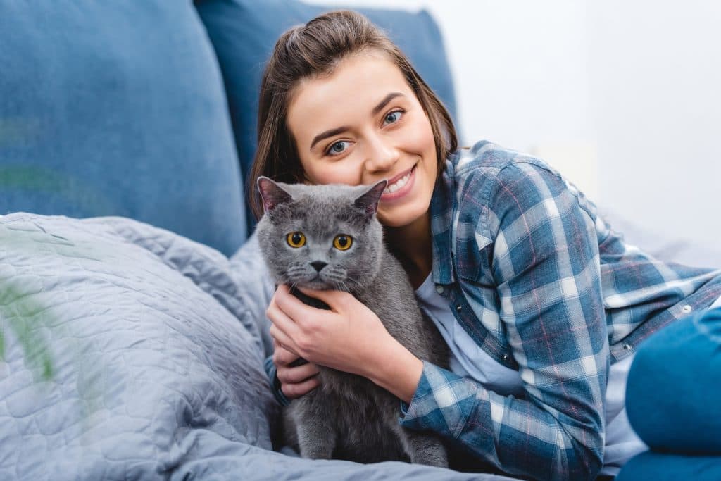 kedi mamasi tavsiye