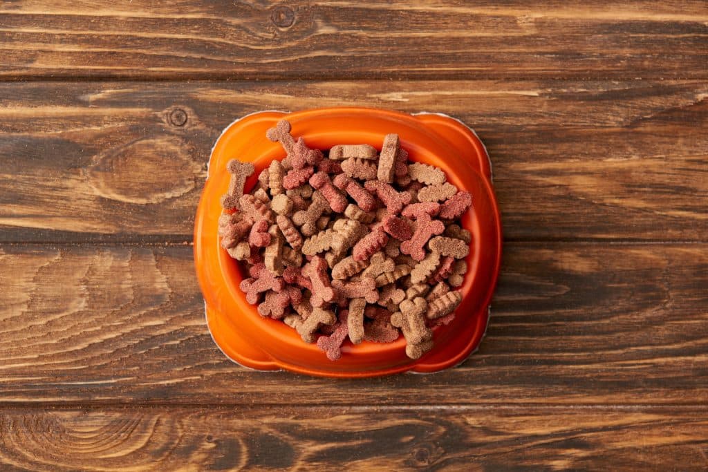 Köpek Maması Alırken Dikkat Edilmesi Gerekenler Nelerdir?