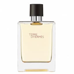 Hermes Terre D’Hermes