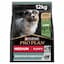 Pro Plan Medium Puppy Digestion Kuzu Etli 12 kg