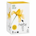 Herby Fit Elma Sirkeli Ananaslı Bitki Çayı